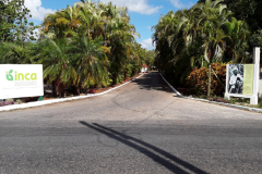 Copia-de-20190430_100256