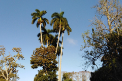 IMG_20220217_075917-1