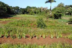 IMG_20220218_091710-1